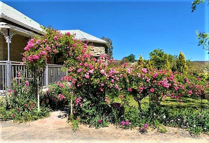 Jack Of The Karoo Villa Sutherland Exterior foto